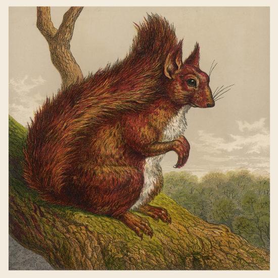 Art Print, , large