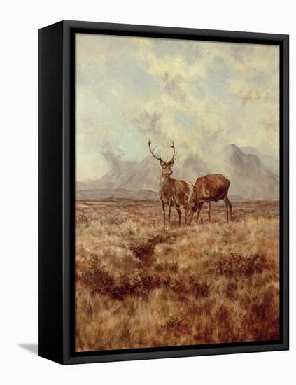 Red Stags, Ben Buie, 1982-Tim Scott Bolton-Framed Stretched Canvas