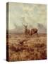 Red Stags, Ben Buie, 1982-Tim Scott Bolton-Stretched Canvas