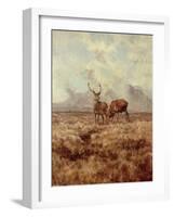 Red Stags, Ben Buie, 1982-Tim Scott Bolton-Framed Giclee Print