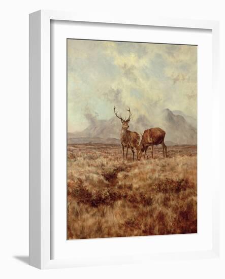 Red Stags, Ben Buie, 1982-Tim Scott Bolton-Framed Giclee Print