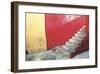 Red Stairway-Douglas Steakley-Framed Giclee Print