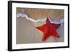 Red Starfish on Thebeach -null-Framed Premium Giclee Print