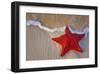 Red Starfish on Thebeach -null-Framed Art Print