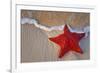 Red Starfish on Thebeach -null-Framed Art Print