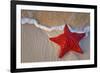 Red Starfish on Thebeach -null-Framed Art Print