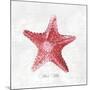 Red Starfish-Eva Watts-Mounted Art Print