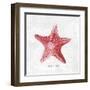 Red Starfish-Eva Watts-Framed Art Print