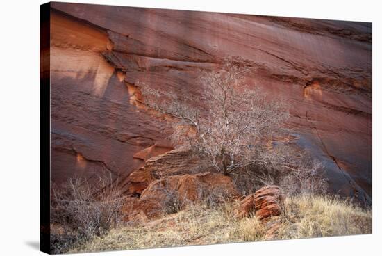 Red Stone-Andrew Geiger-Stretched Canvas