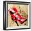 Red Strap Boot-Roderick E. Stevens-Framed Premium Giclee Print