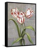 Red-Striped Tulips-John Zaccheo-Framed Stretched Canvas