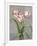 Red-Striped Tulips-John Zaccheo-Framed Giclee Print