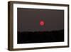 Red Sun, Morning in October, Southern Finland-Paivi Vikstrom-Framed Photographic Print