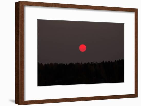 Red Sun, Morning in October, Southern Finland-Paivi Vikstrom-Framed Photographic Print