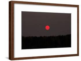 Red Sun, Morning in October, Southern Finland-Paivi Vikstrom-Framed Photographic Print