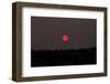 Red Sun, Morning in October, Southern Finland-Paivi Vikstrom-Framed Photographic Print