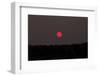 Red Sun, Morning in October, Southern Finland-Paivi Vikstrom-Framed Photographic Print