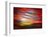 Red Sunset-Ursula Abresch-Framed Photographic Print