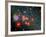 Red Super Giant Cluster-Stocktrek Images-Framed Photographic Print