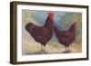 Red Sussex Poultry-AF Lydon-Framed Art Print