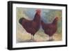 Red Sussex Poultry-AF Lydon-Framed Art Print