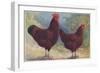 Red Sussex Poultry-AF Lydon-Framed Art Print