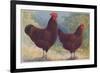 Red Sussex Poultry-AF Lydon-Framed Art Print