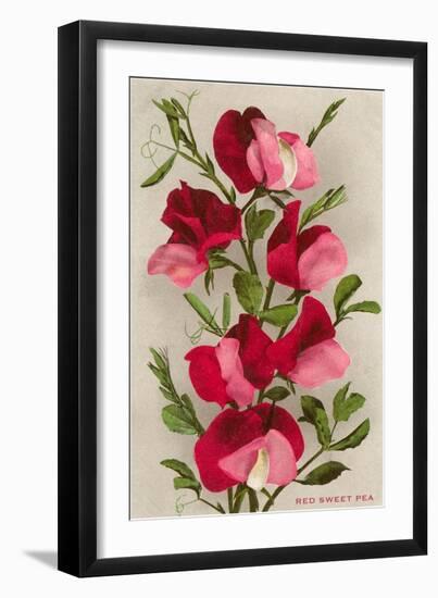 Red Sweet Peas-null-Framed Art Print