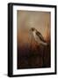 Red Tail in Wait-Jai Johnson-Framed Giclee Print