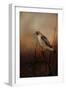 Red Tail in Wait-Jai Johnson-Framed Giclee Print