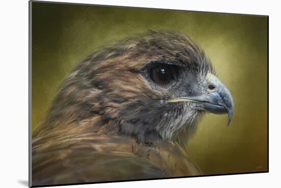 Red Tailed Hawk at Reelfoot-Jai Johnson-Mounted Giclee Print