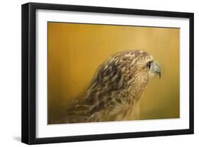 Red Tailed Hawk at Sunset-Jai Johnson-Framed Giclee Print