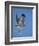 Red-Tailed Hawk (Buteo Jamaicensis) Taking Off-James Hager-Framed Photographic Print