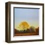 Red Tailed Hawk-Cap Pannell-Framed Art Print