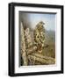 Red Tailed Hawk-Rusty Frentner-Framed Giclee Print