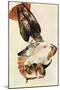 Red Tailed Hawk-John James Audubon-Mounted Art Print