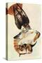Red Tailed Hawk-John James Audubon-Stretched Canvas