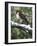 Red Tailed Hawk-William Vanderdasson-Framed Giclee Print