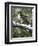 Red Tailed Hawk-William Vanderdasson-Framed Premium Giclee Print