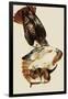Red-Tailed Hawks-John James Audubon-Framed Giclee Print