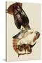 Red-Tailed Hawks-John James Audubon-Stretched Canvas