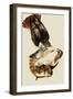 Red-Tailed Hawks-John James Audubon-Framed Giclee Print