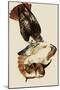 Red-Tailed Hawks-John James Audubon-Mounted Giclee Print