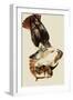 Red-Tailed Hawks-John James Audubon-Framed Premium Giclee Print