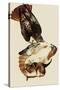 Red-Tailed Hawks-John James Audubon-Stretched Canvas