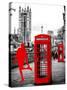 Red Telephone Booths - London - UK - England - United Kingdom - Europe-Philippe Hugonnard-Stretched Canvas