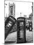 Red Telephone Booths - London - UK - England - United Kingdom - Europe-Philippe Hugonnard-Mounted Photographic Print