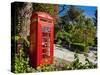 Red Telephone Box, Alameda Gardens, Gibraltar, Europe-Giles Bracher-Stretched Canvas