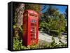 Red Telephone Box, Alameda Gardens, Gibraltar, Europe-Giles Bracher-Framed Stretched Canvas