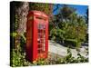 Red Telephone Box, Alameda Gardens, Gibraltar, Europe-Giles Bracher-Stretched Canvas